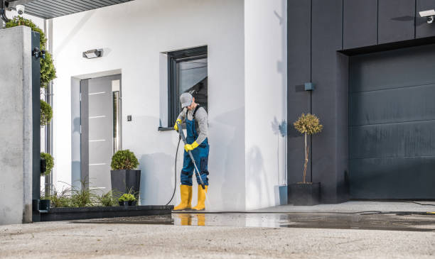 Best Gutter Cleaning  in Maitland, FL